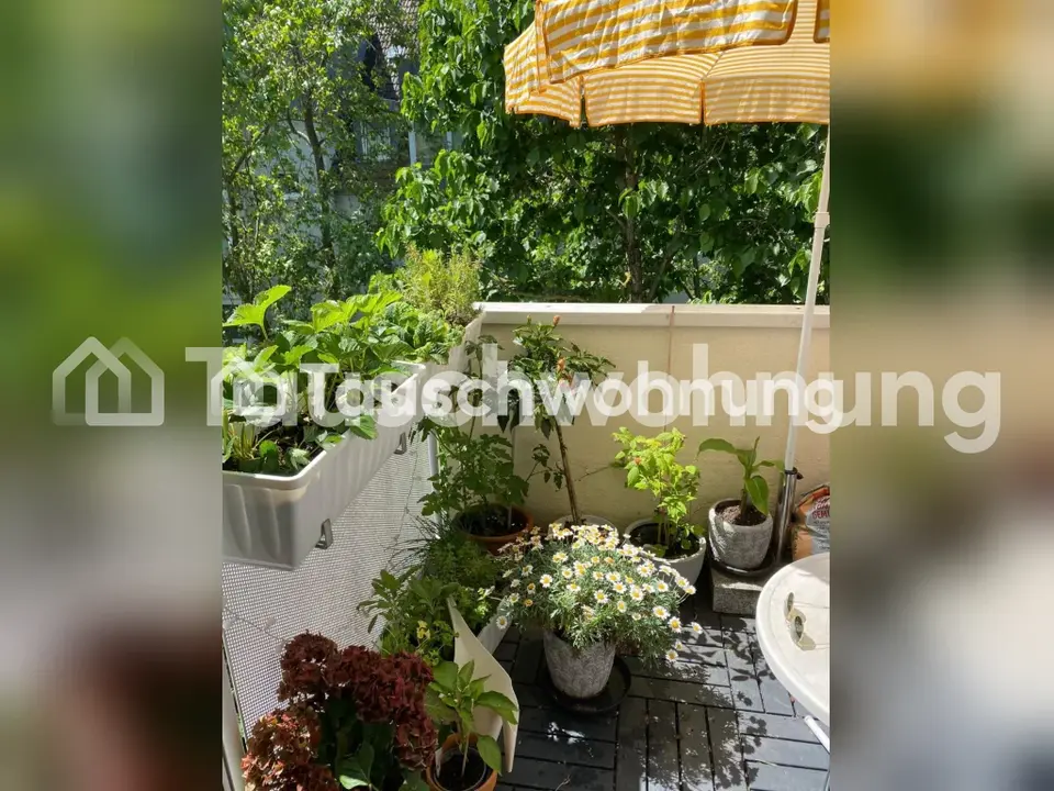 Studio mit 35 m² in Wiesbaden – Bild 8