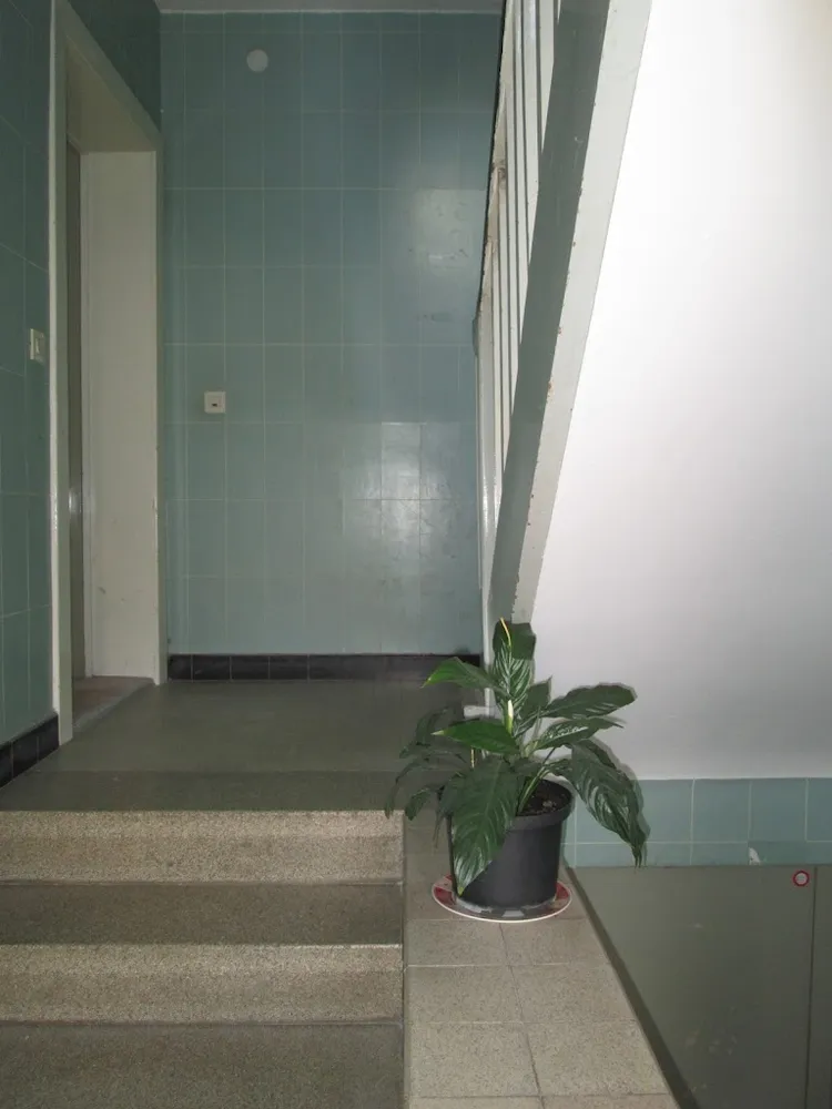 3 Zimmer Wohnung mit 68 m² in Salzgitter – Bild 5