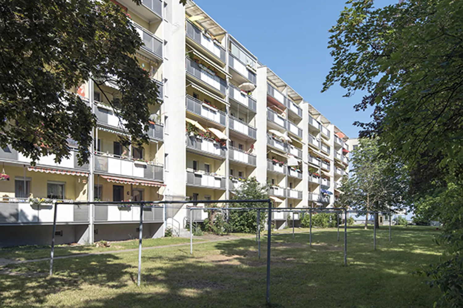 4 Zimmer Wohnung mit 77 m² in Dresden – Bild 3