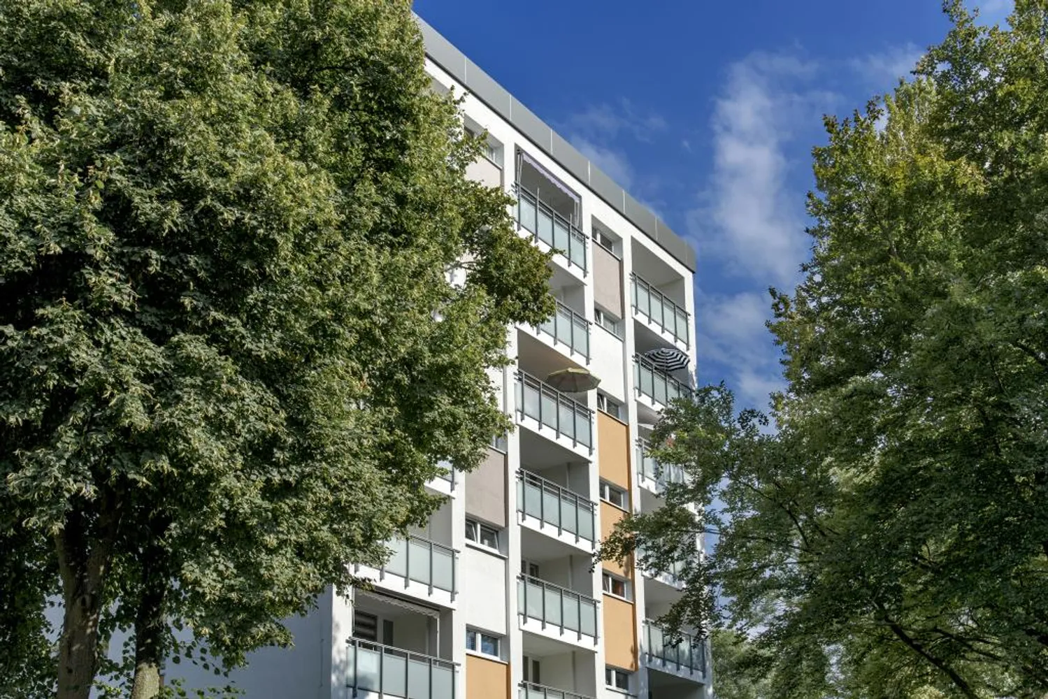 2 Zimmer Wohnung mit 44 m² in Dortmund – Bild 5