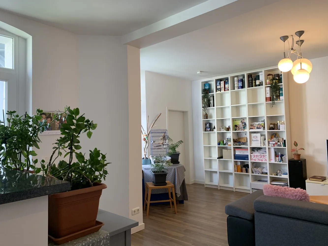 2 Zimmer Wohnung mit 68 m² in Magdeburg – Bild 11