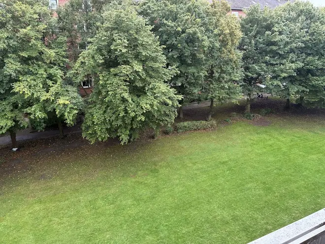 4 Zimmer Wohnung mit 84 m² in Kiel – Bild 11