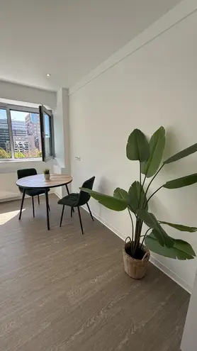 1 Zimmer Wohnung mit 21 m² in Frankfurt am Main – Bild 1