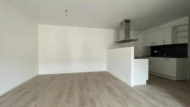 3 Zimmer Wohnung mit 73 m² in Dresden – Bild 3