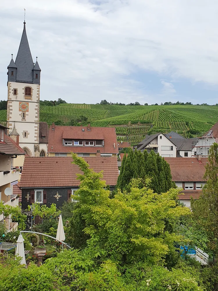 4 Zimmer Wohnung mit 86 m² in Esslingen am Neckar – Bild 7