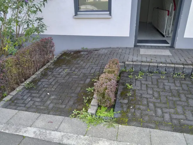 4 Zimmer Wohnung mit 100 m² in Bonn – Bild 2