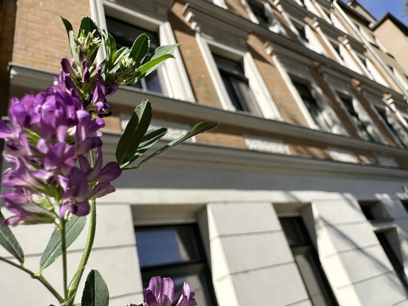 2 Zimmer Wohnung mit 45 m² in Halle (Saale) – Bild 1