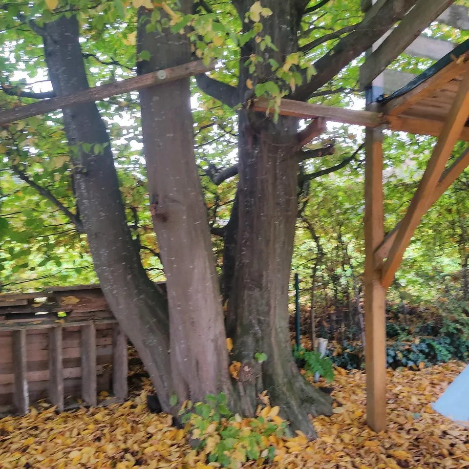 7 Zimmer Haus mit 150 m² in Neu-Ulm – Bild 6
