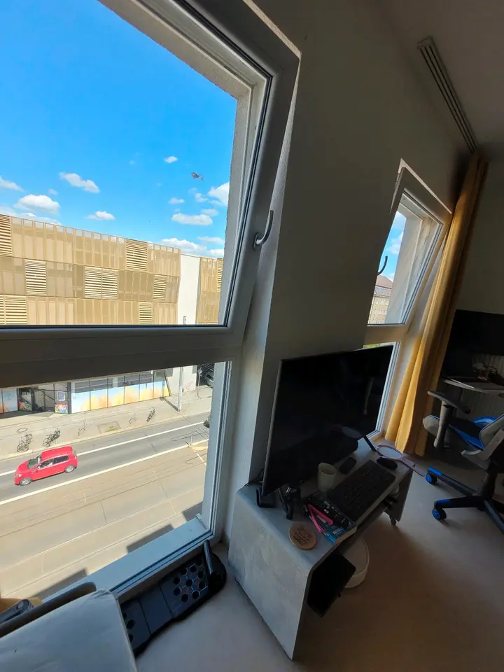 Studio mit 23 m² in Dresden – Bild 4