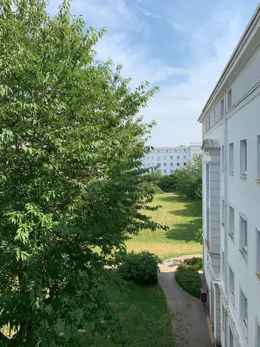 2 Zimmer Wohnung mit 51 m² in Rostock – Bild 3