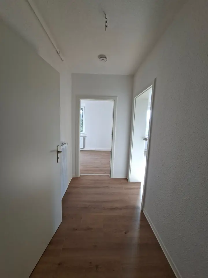 2 Zimmer Wohnung mit 46 m² in Zwickau – Bild 1