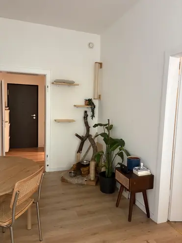 3 Zimmer Wohnung mit 44 m² in Aachen – Bild 6