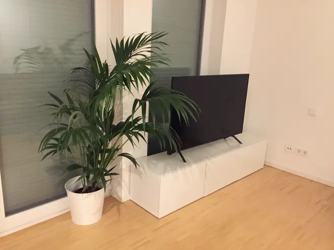 1 Zimmer Wohnung mit 36 m² in Frankfurt am Main – Bild 6