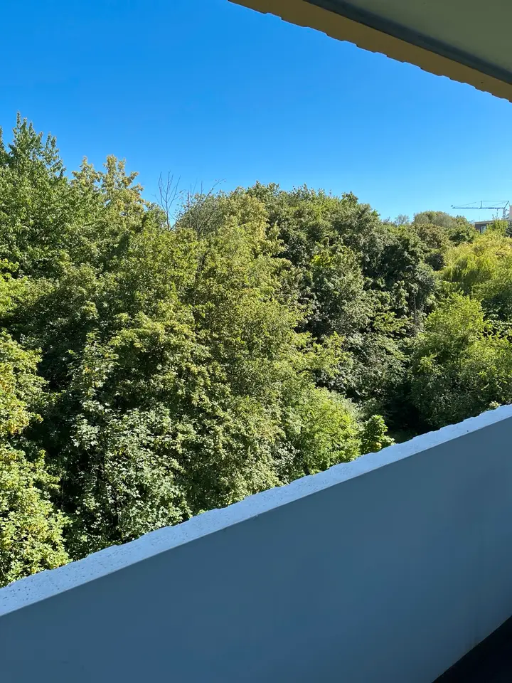 Studio mit 28 m² in Rüsselsheim am Main – Bild 5