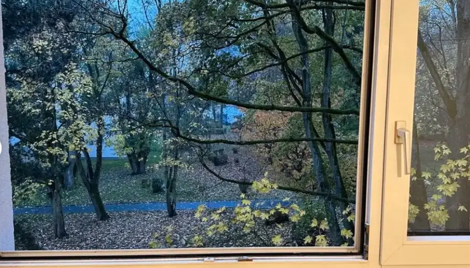 2 Zimmer Wohnung mit 54 m² in Oberursel – Bild 6