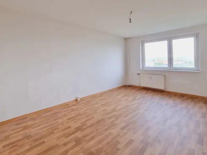 1 Zimmer Wohnung mit 26 m² in Dresden – Bild 1