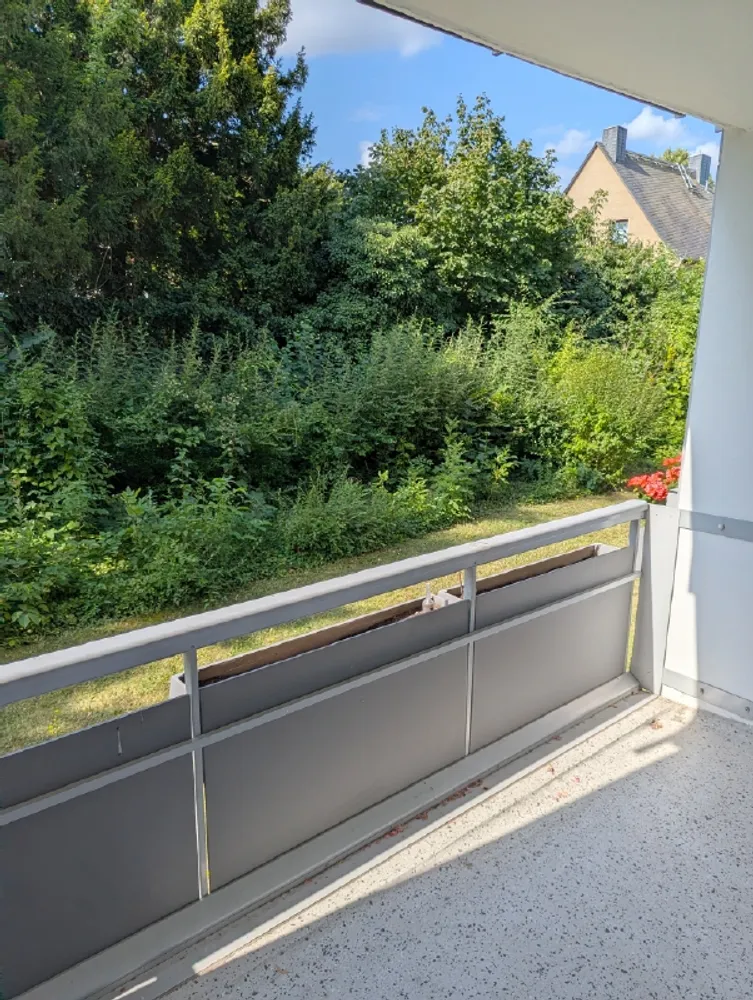 3 Zimmer Wohnung mit 64 m² in Dresden – Bild 3