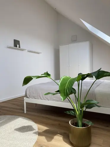 WG-Zimmer mit 17 m² in Augsburg – Bild 3