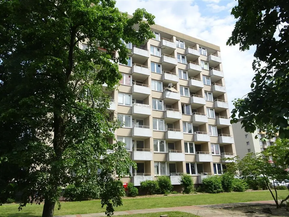 Studio mit 35 m² in Celle – Bild 7