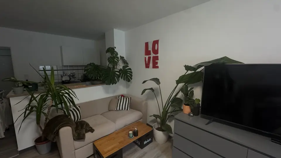 2 Zimmer Wohnung mit 34 m² in Greven – Bild 1