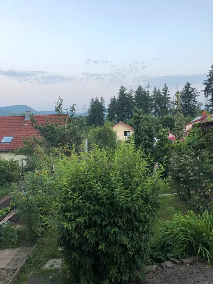 Studio mit 46 m² in Waldshut-Tiengen – Bild 4