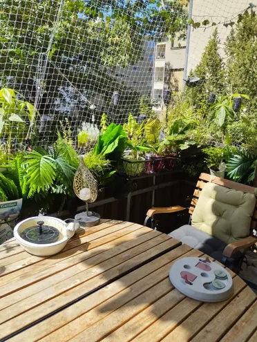 WG-Zimmer mit 22 m² in Berlin – Bild 6