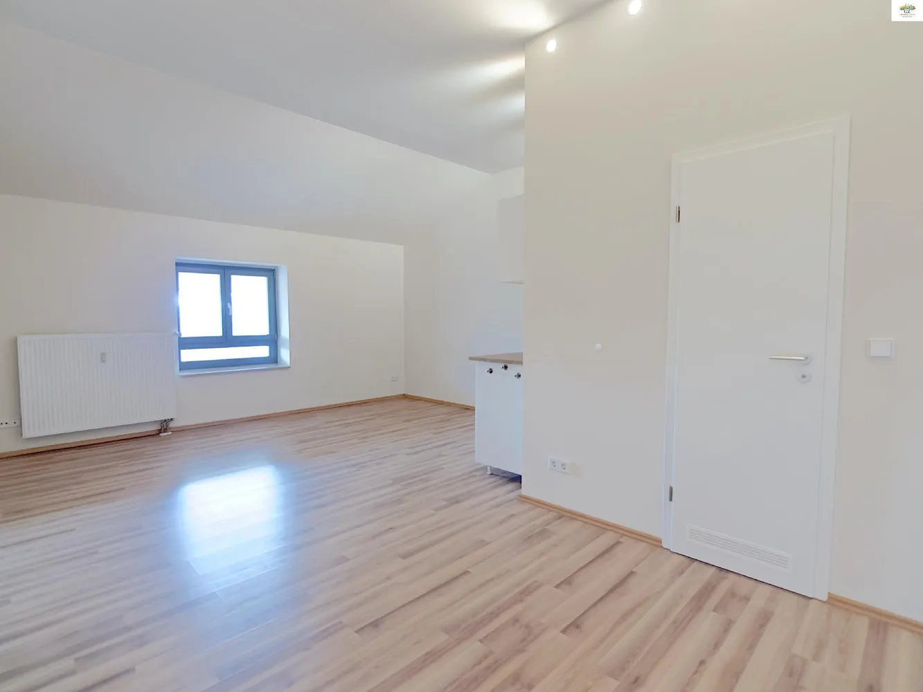 1 Zimmer Wohnung mit 30 m² in Dresden – Bild 3