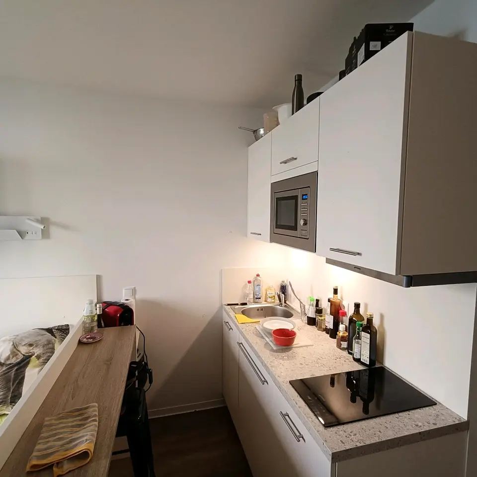 2 Zimmer Wohnung mit 20 m² in Freiburg im Breisgau – Bild 1