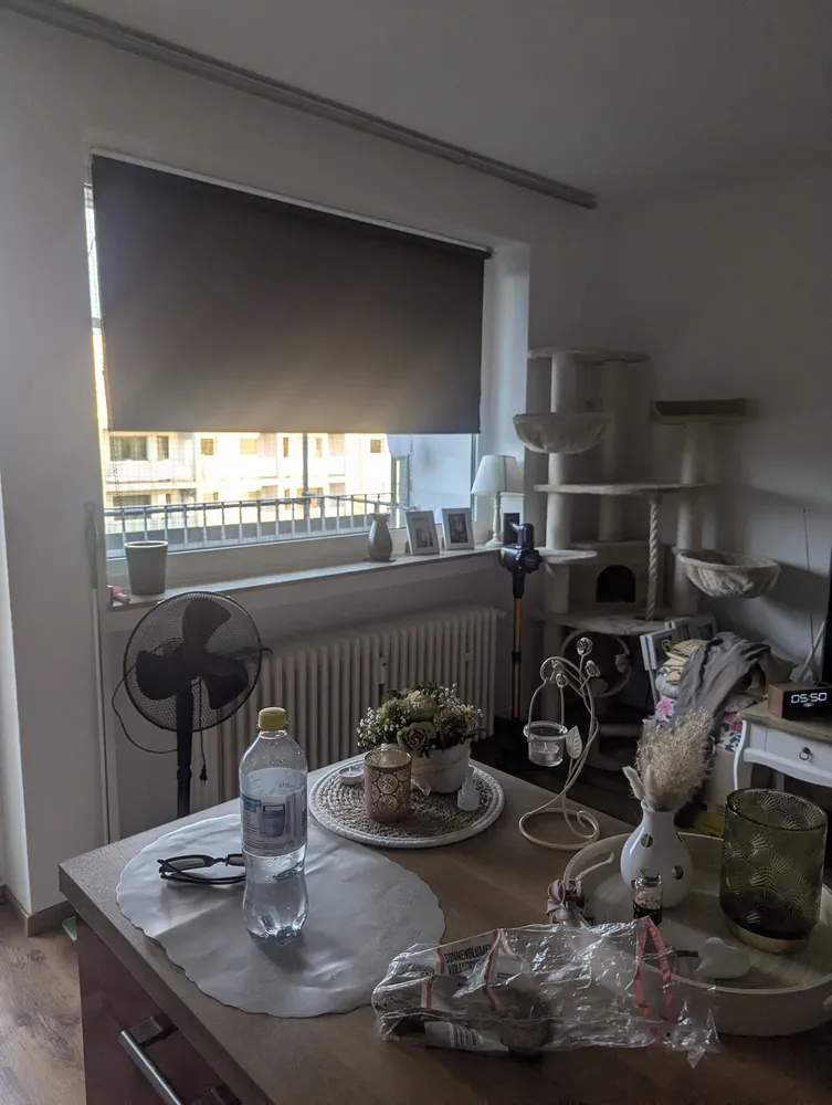 2 Zimmer Wohnung mit 38 m² in Herne – Bild 4