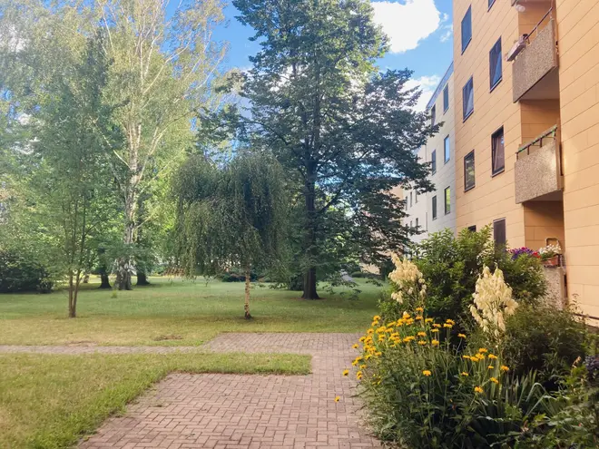 2 Zimmer Wohnung mit 43 m² in Braunschweig – Bild 1