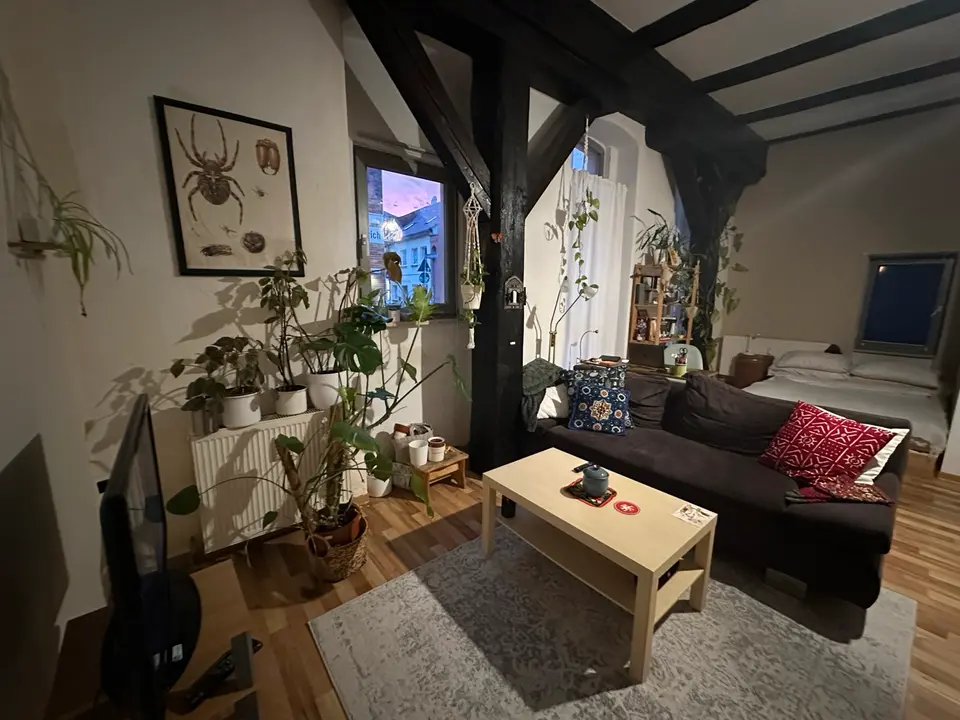 2 Zimmer Wohnung mit 29 m² in Greifswald – Bild 2
