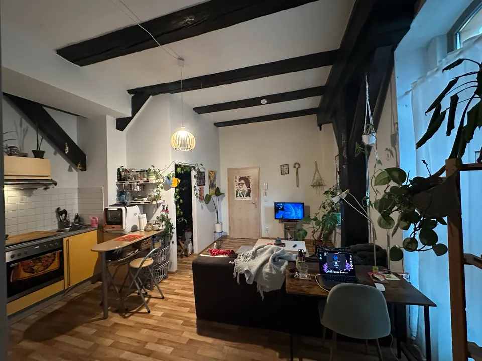2 Zimmer Wohnung mit 29 m² in Greifswald – Bild 3