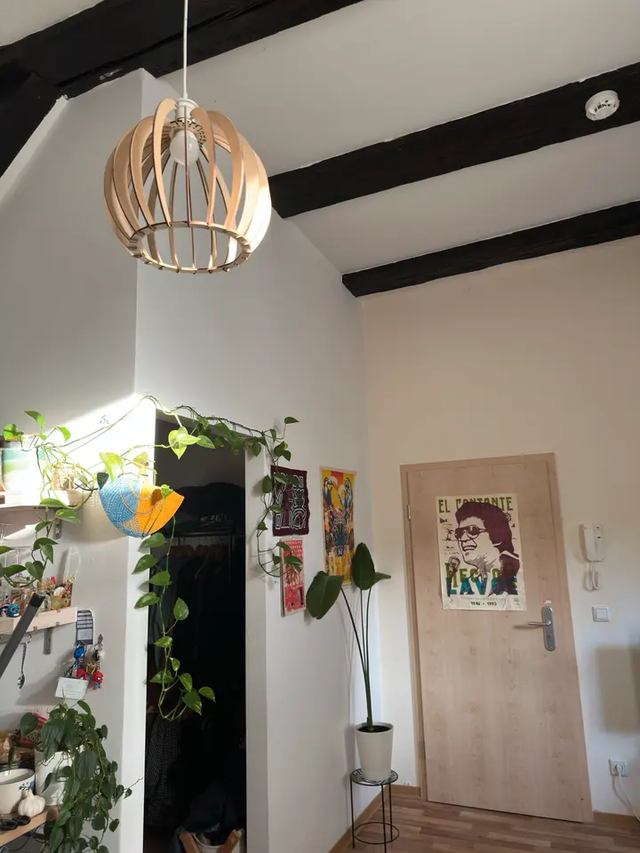 2 Zimmer Wohnung mit 29 m² in Greifswald – Bild 5