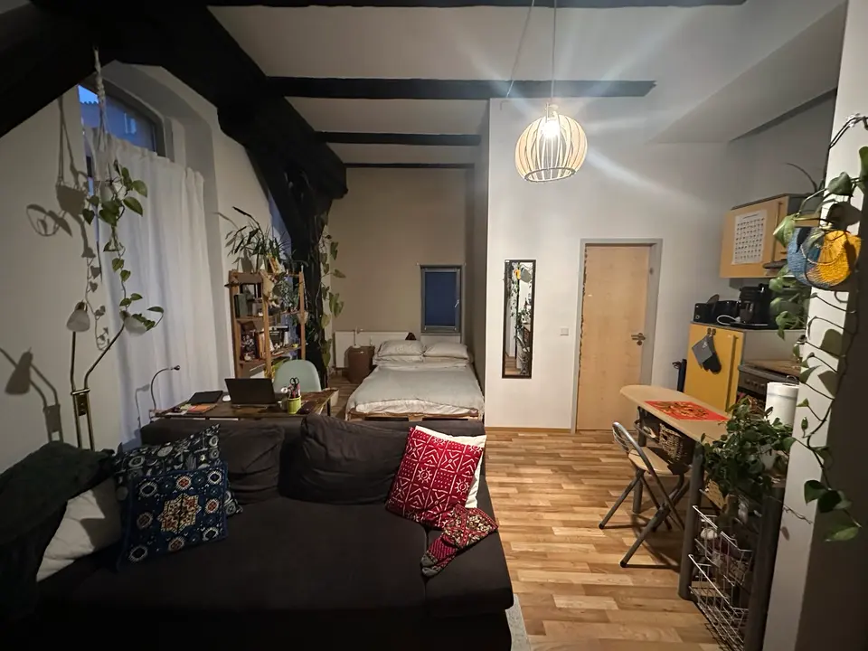 2 Zimmer Wohnung mit 29 m² in Greifswald – Bild 6