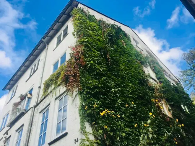 WG-Zimmer mit 17 m² in Kassel – Bild 2