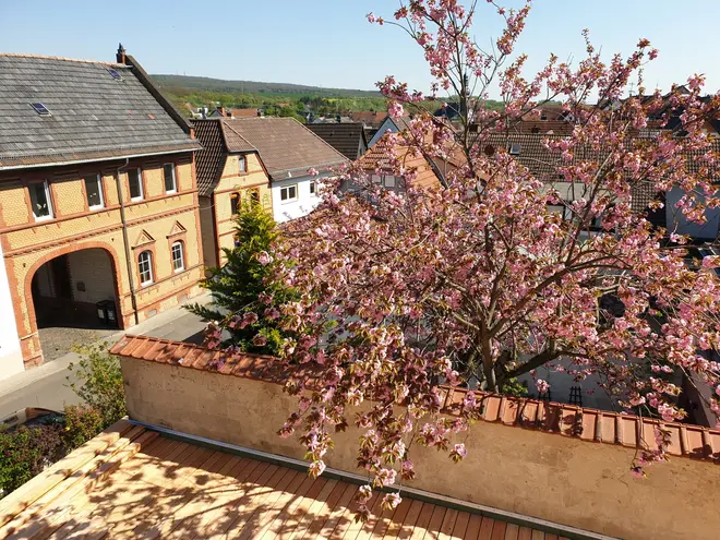 3 Zimmer Wohnung mit 88 m² in Wiesbaden – Bild 1