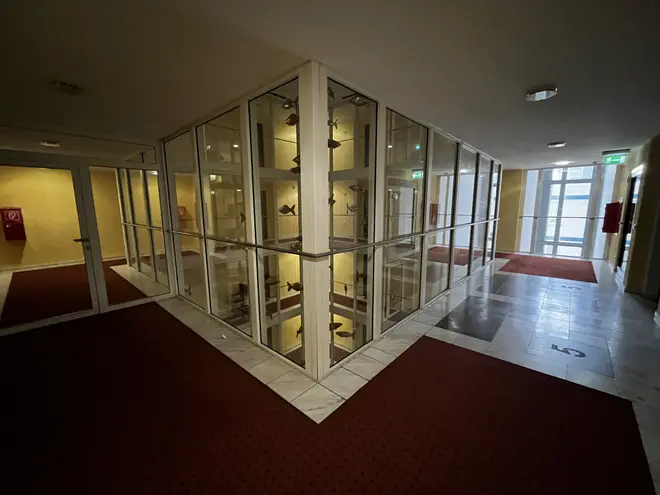 3 Zimmer Wohnung mit 94 m² in Potsdam – Bild 3