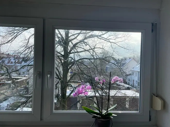 2 Zimmer Wohnung mit 60 m² in Karlsruhe – Bild 7