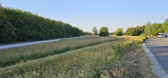 3 Zimmer Wohnung mit 80 m² in München – Bild 3