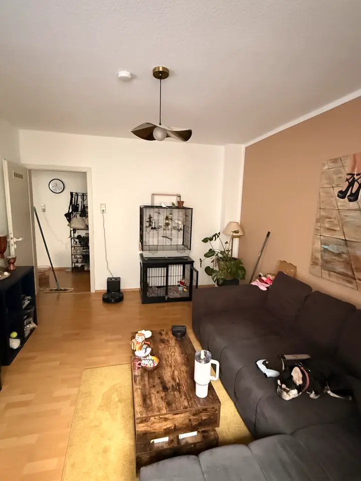 2 Zimmer Wohnung mit 50 m² in Hagen – Bild 2