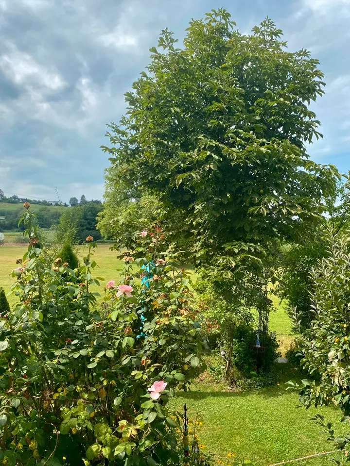 4 Zimmer Wohnung mit 115 m² in Lindau – Bild 5