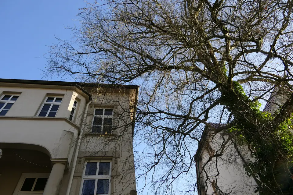 4 Zimmer Wohnung mit 120 m² in Bielefeld – Bild 4