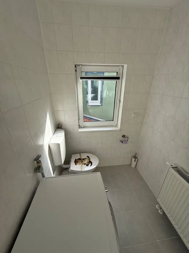 Studio mit 30 m² in Worms – Bild 8