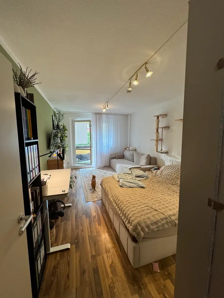 2 Zimmer Wohnung mit 40 m² in Potsdam – Bild 3