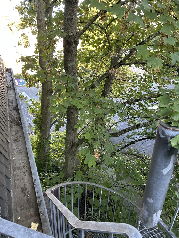 2 Zimmer Wohnung mit 54 m² in Krefeld – Bild 10