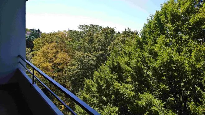 3 Zimmer Wohnung mit 95 m² in Heidelberg – Bild 1
