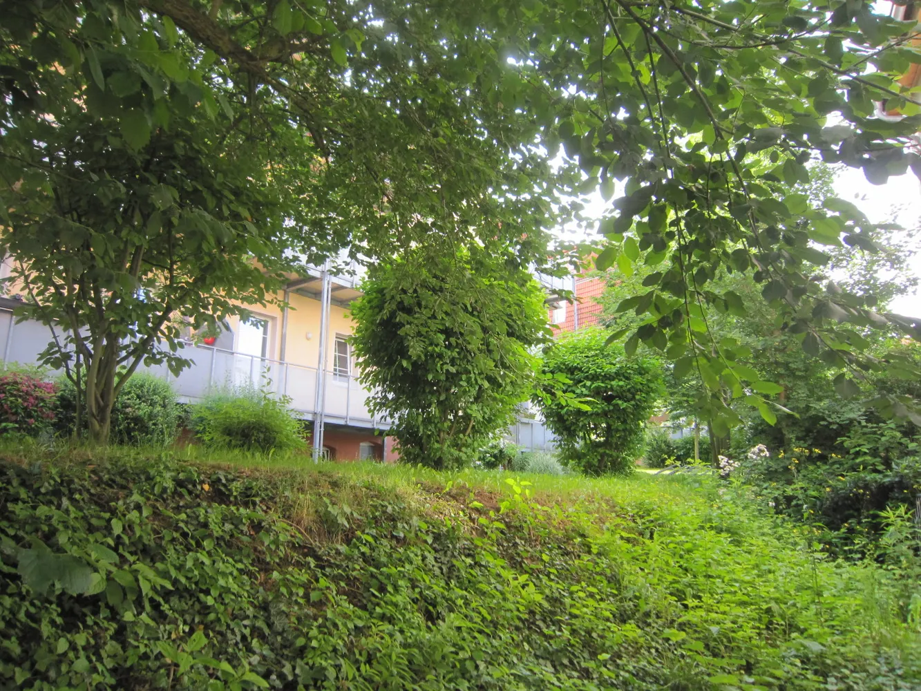 2 Zimmer Wohnung mit 57 m² in Zwickau – Bild 2