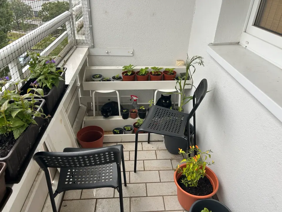 WG-Zimmer mit 58 m² in Dresden – Bild 10
