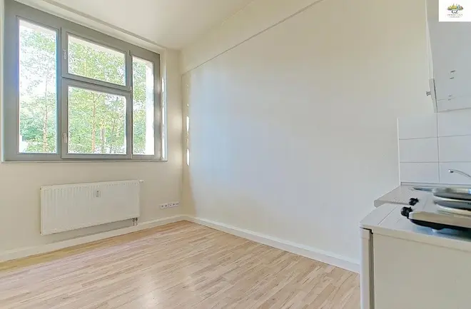 1 Zimmer Wohnung mit 19 m² in Dresden – Bild 1