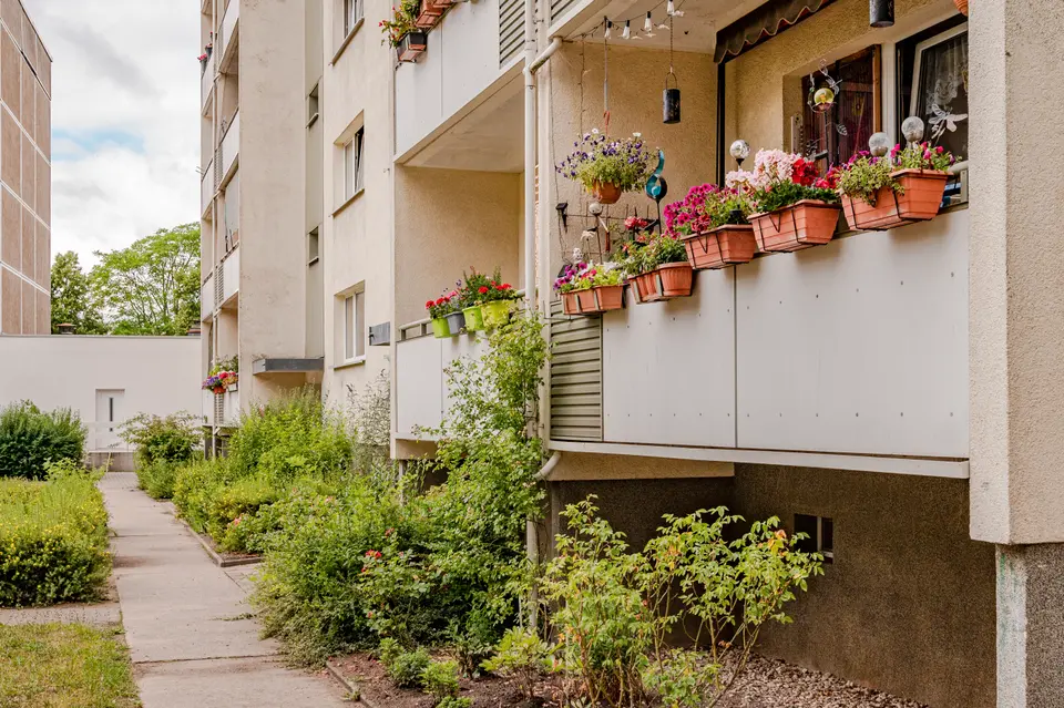 2 Zimmer Wohnung mit 46 m² in Neubrandenburg – Bild 3